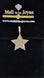 Star Medallion 14K with VVS1 Diamond Inlay